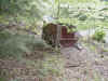machine_in_woods_03.jpg (155101 bytes)