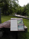 Salamander and interpretive sign about it 