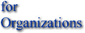 Computer support services for organizations 