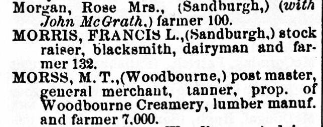 Sample listing from Child's Gazetteer and Business Directory of Sullivan County